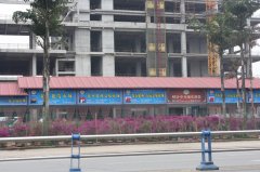 溫江財富中央城售樓部樹脂瓦工程案例